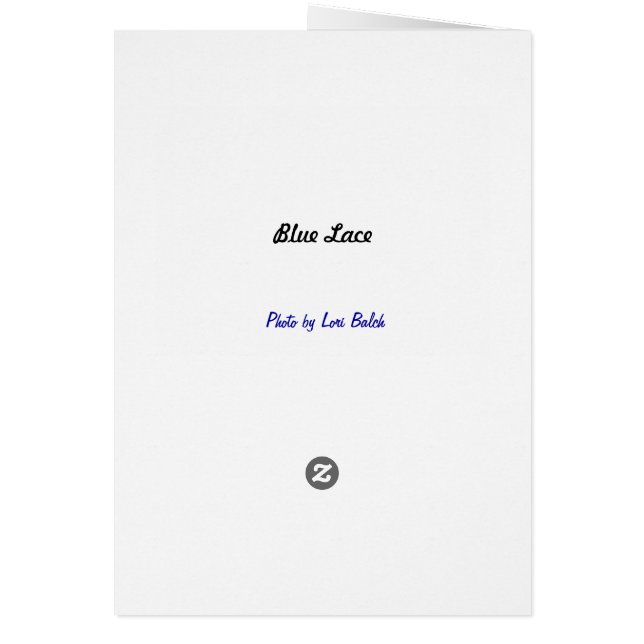 Blauwe kant (Achterkant)