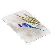 Blauwe kap in een dennenboom met sneeuw magneet (Rechterzijde)