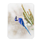 Blauwe kap in een dennenboom met sneeuw magneet (Verticaal)