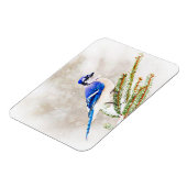 Blauwe kap in een dennenboom met sneeuw magneet (Linkerzijde)