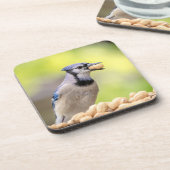 Blauwe kap met pinda's bier onderzetter (Linkerzijde)