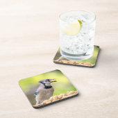 Blauwe kap met pinda's bier onderzetter (Rechterzijde)