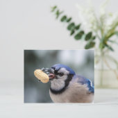 Blauwe kap met pinda's briefkaart (Staand voorkant)