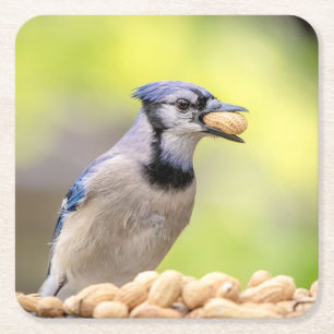 Blauwe kap met pinda's kartonnen onderzetters
