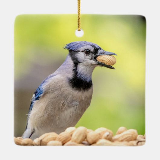 Blauwe kap met pinda's keramisch ornament (Achterkant)