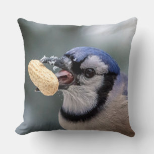 Blauwe kap met pinda's kussen