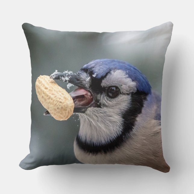 Blauwe kap met pinda's kussen (Voorkant)