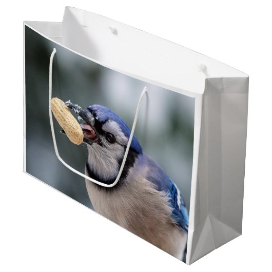 Blauwe kap met pinda's large cadeautasje (Voorkant Gekanteld)