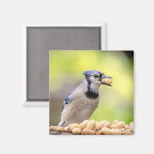 Blauwe kap met pinda's magneet (Voorkant / Achterkant)