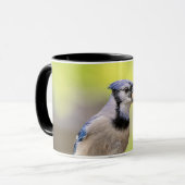 Blauwe kap met pinda's mok (Voorkant links)