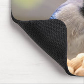 Blauwe kap met pinda's muismat (Hoek)