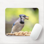 Blauwe kap met pinda's muismat (Met muis)