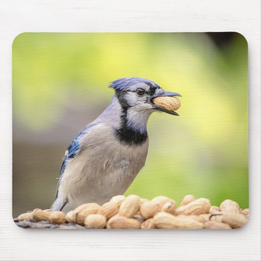 Blauwe kap met pinda's muismat (Voorkant)