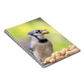 Blauwe kap met pinda's notitieboek (Rechterzijde)