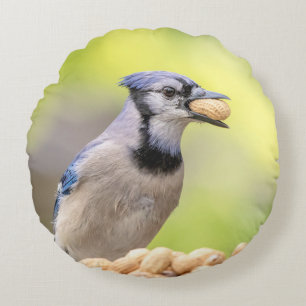 Blauwe kap met pinda's rond kussen
