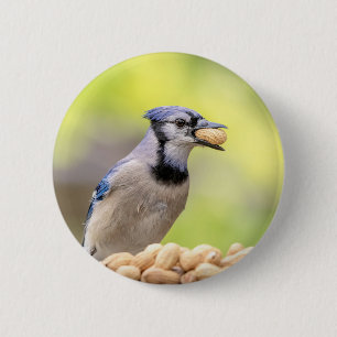 Blauwe kap met pinda's ronde button 5,7 cm