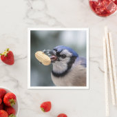 Blauwe kap met pinda's servet (Insitu)