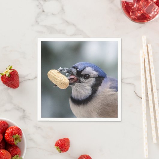 Blauwe kap met pinda's servet (Insitu)