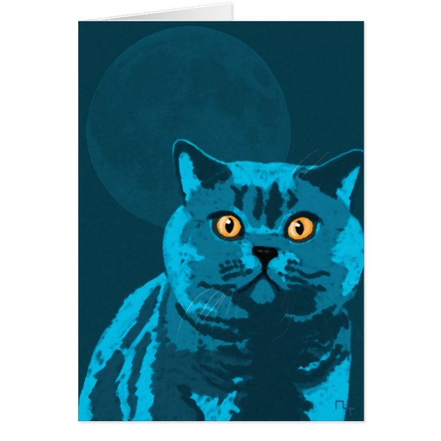 Blauwe kat (Voorkant)