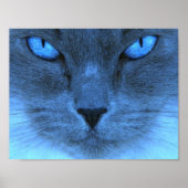 Blauwe kat poster (Voorkant)