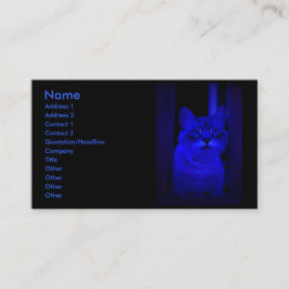 Blauwe kat visitekaartje