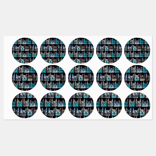 Blauwe katten labels (Vel)