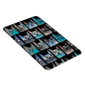 Blauwe katten magneet (Rechterzijde)