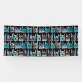 Blauwe katten spandoek (Horizontaal)