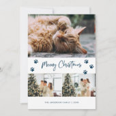 Blauwe Katteneigenaar Foto Kerstkaart Meowy (Voorkant)