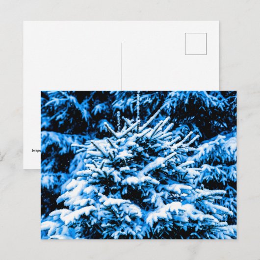 Blauwe kerstboom, sneeuw briefkaart (Voorkant / Achterkant)