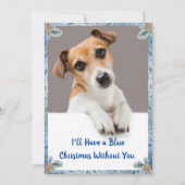 Blauwe kerstkaart Jack Russell Holiday Card (Voorkant)