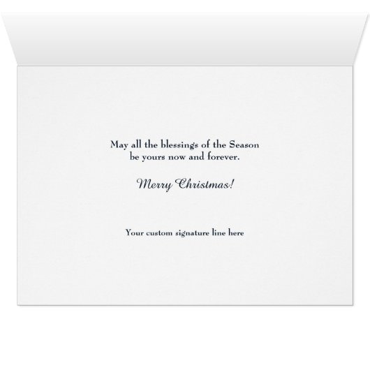 Blauwe Kerstmis Night Bethlehem Star (Binenzijde Horizontaal (Onderkant))