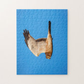 Blauwe Kiekendief in de Shawangunk Grasslands Legpuzzel (Verticaal)