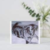 Blauwe kieuwpuppy - Catahoula.png Briefkaart (Staand voorkant)