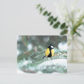 Blauwe kip op groene spar briefkaart (Staand voorkant)