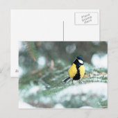 Blauwe kip op groene spar briefkaart (Voorkant / Achterkant)