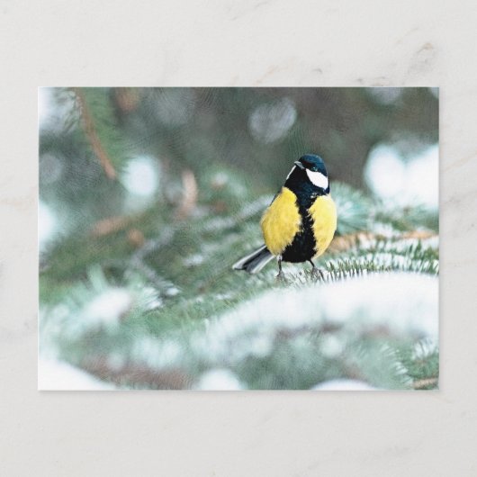 Blauwe kip op groene spar briefkaart (Voorkant)