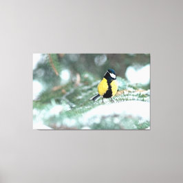 Blauwe kip op groene spar canvas afdruk