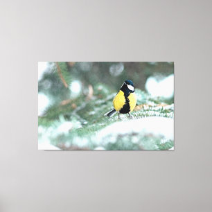Blauwe kip op groene spar canvas afdruk
