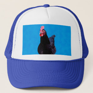 Blauwe kippenstoot, Pet