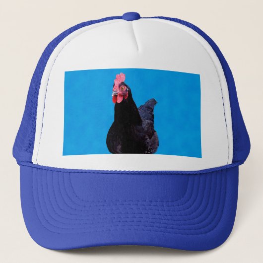 Blauwe kippenstoot, Pet (Voorkant)