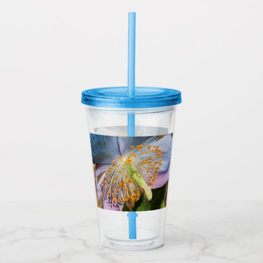 Blauwe klaproos bloesem acryl drinkbeker (Voorkant)