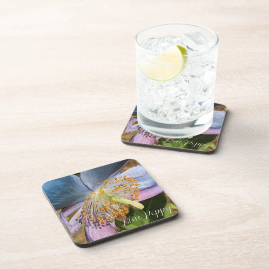 Blauwe klaproos bloesem bier onderzetter (Rechterzijde)