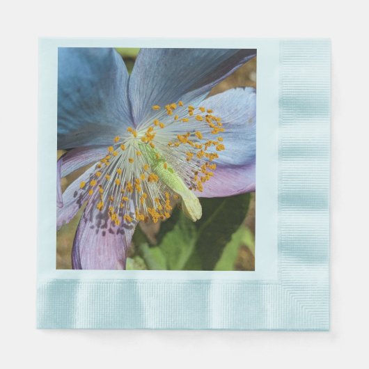 Blauwe klaproos bloesem servet (Voorkant)