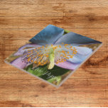 Blauwe klaproos bloesem tegeltje<br><div class="desc">Keramische tegel met het foto-afbeelding van een Himalaya Blue Poppy bloei. Maakt een  keuken trivet!</div>