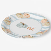 Blauwe kleine pompoen eerste geboorte Borden Papieren Bordje (Gekanteld)