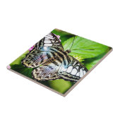 Blauwe klem tegeltje (Zijkant)