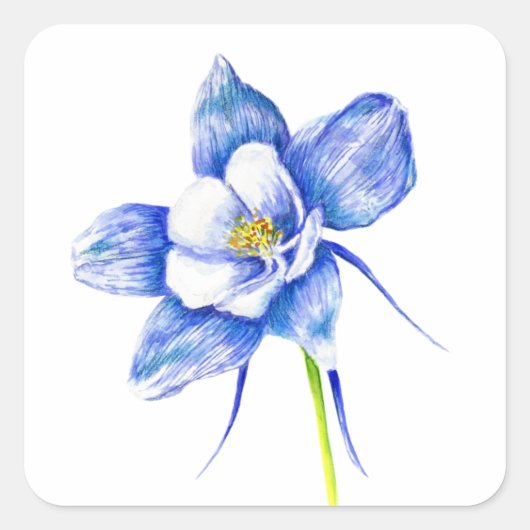 Blauwe klematisbloem vierkante sticker (Voorkant)