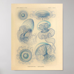blauwe kleur Ernst Haeckel Art afdrukken Poster