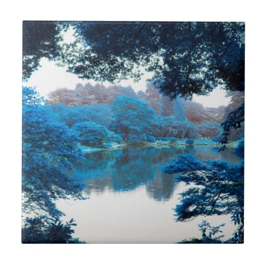 Blauwe kleur is cool, unieke natuur, meer tegeltje (Voorkant)